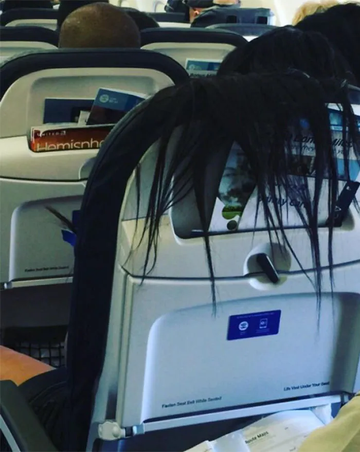 Hairy Seatback