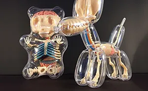 Anatomical Animal Balloons By Jason Freeny