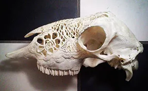 I Use Skulls As Canvases For My Art