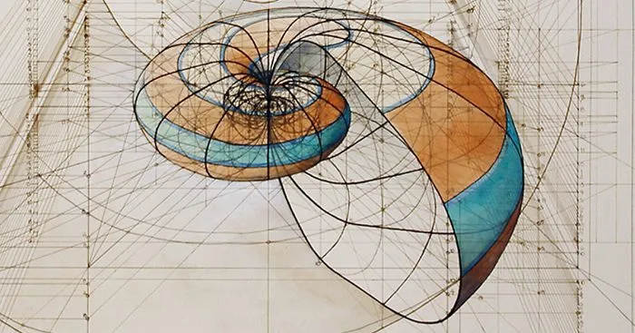Hand-Drawn Coloring Book Reveals Mathematical Beauty Of Nature’s Designs With Golden Ratio Illustrations