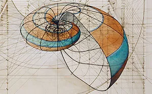 Hand-Drawn Coloring Book Reveals Mathematical Beauty Of Nature’s Designs With Golden Ratio Illustrations