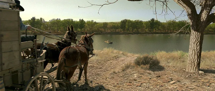 The Homesman