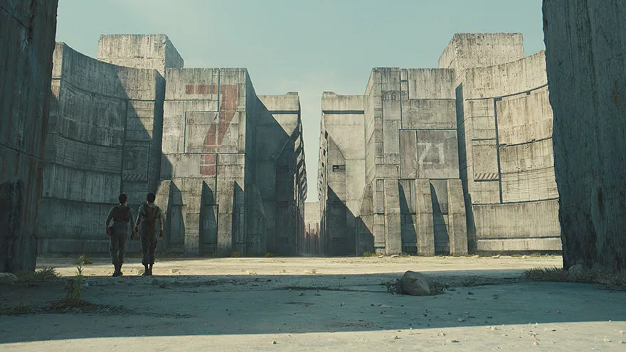 The Maze Runner