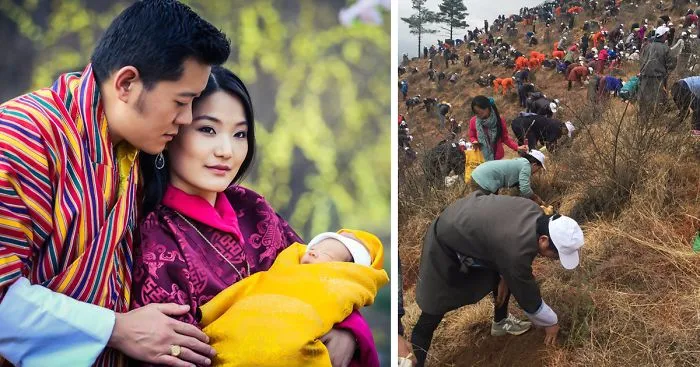 World's Eco-Friendliest Country, Bhutan, Celebrates Birth Of New Prince By Planting 108,000 trees