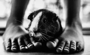 I Document The Special Bond Between My Son And His Pets