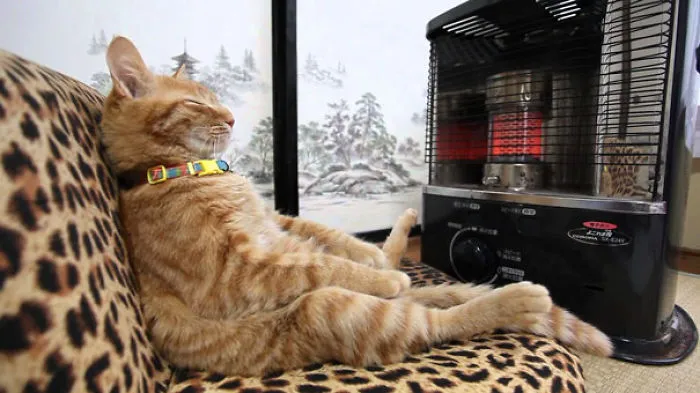 Warming Up Like A Boss