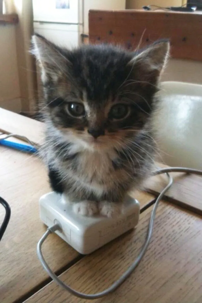The Desk Is Hot Lava