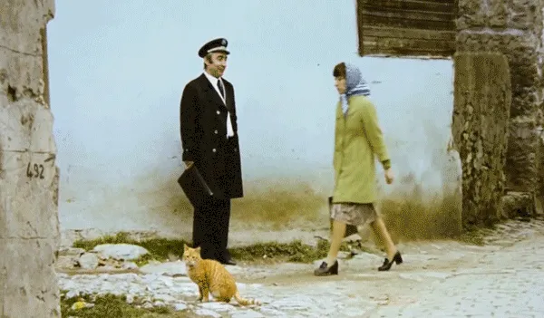 Stills From Old Turkish Movies Become Alive In These Cinemagraphs