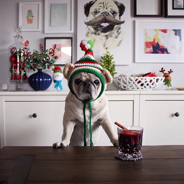 Rocco The Pug Is The Most Stylish Bartender On Instagram (10+ Pics)