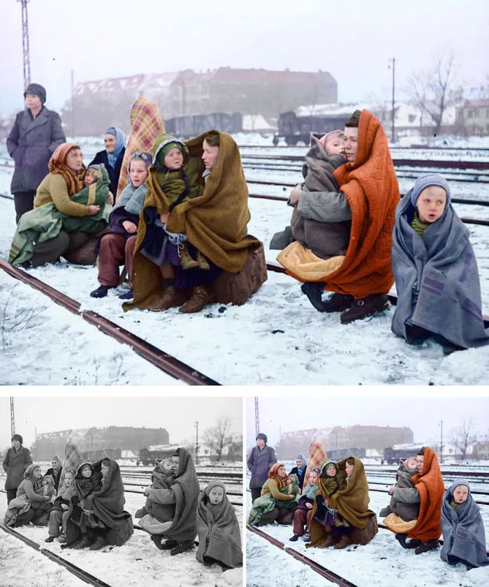 Polish Refugees