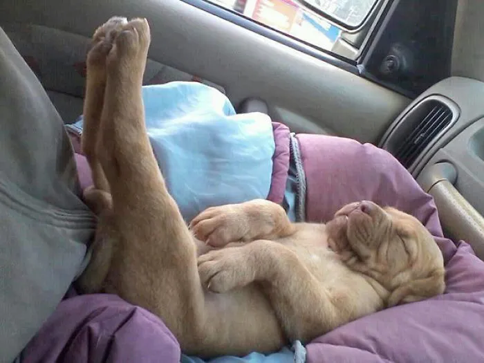Do Not Disturb