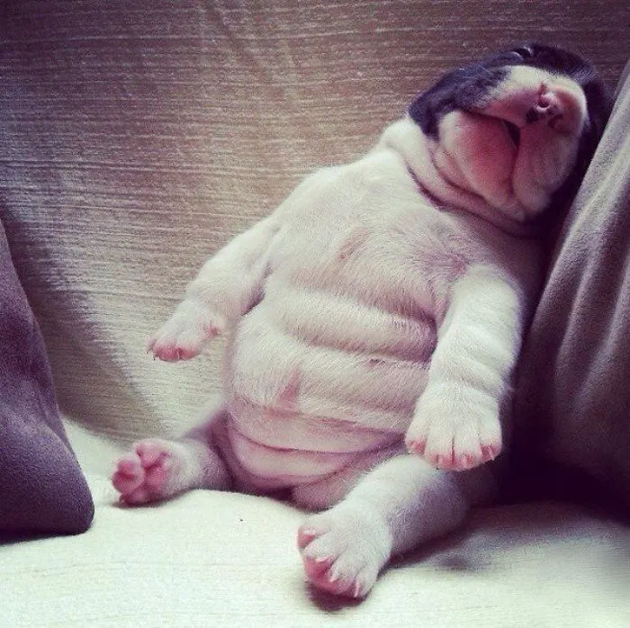 Sleeping Beauty