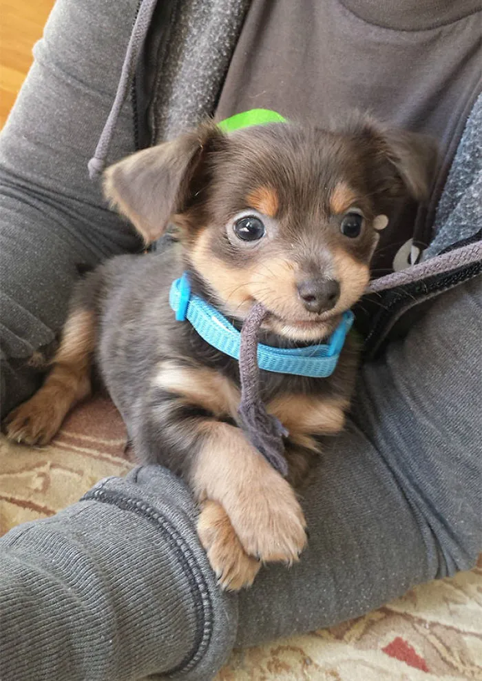 Charlie's First Day Home