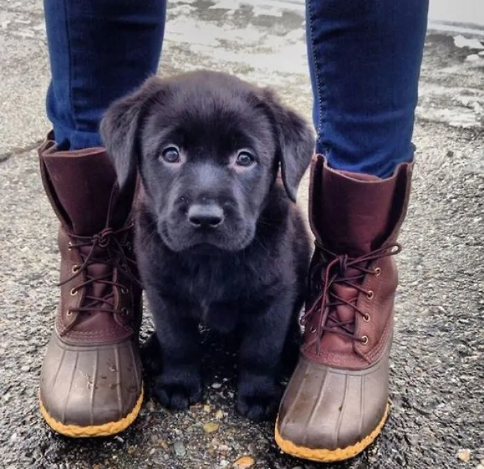Ok, I'm Ready. Let's Go Hiking