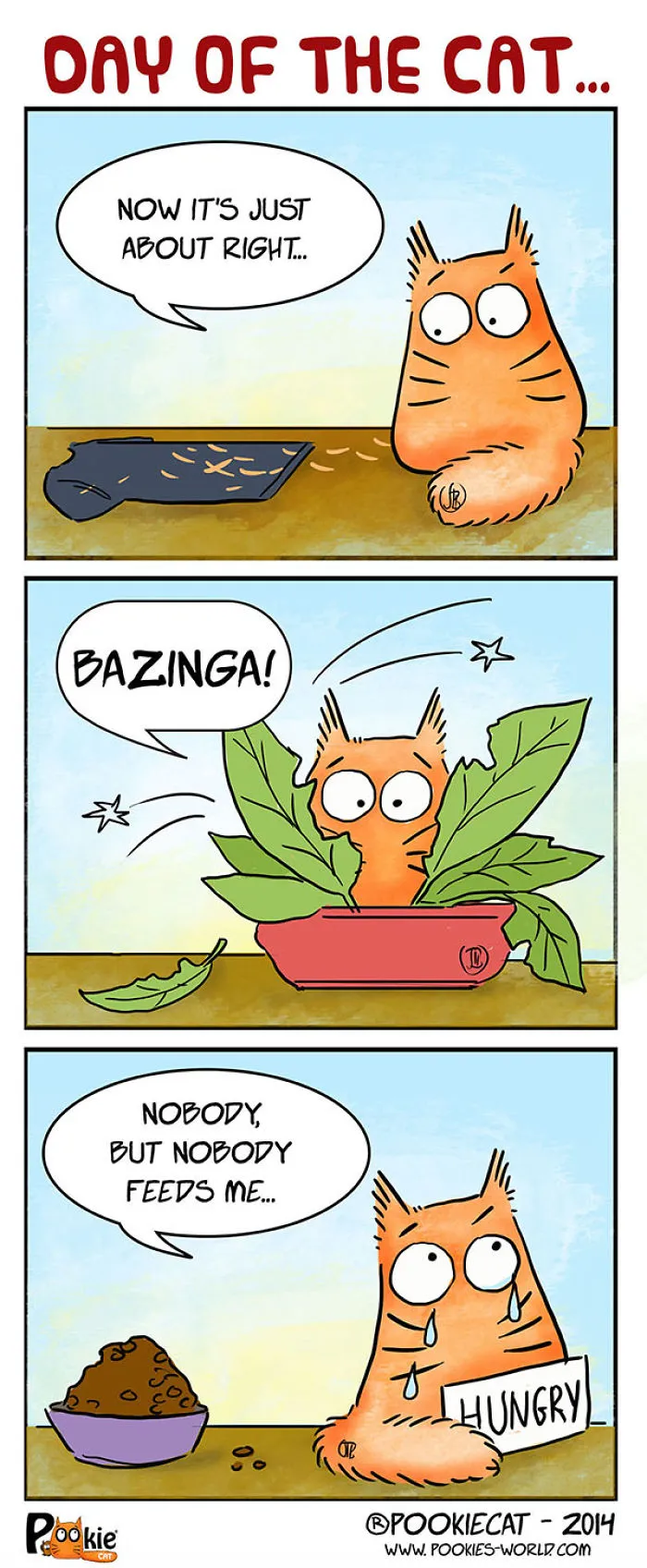 Days Of The Cat...