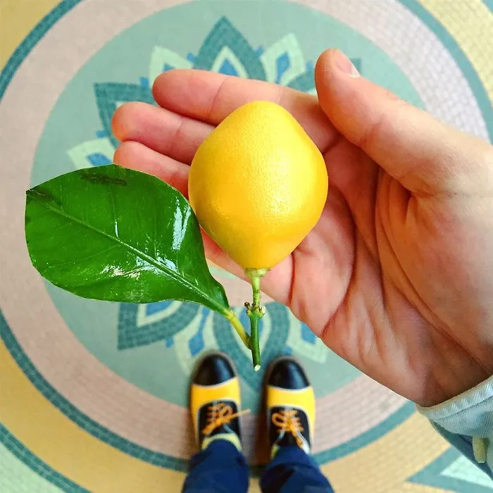 Desserted In Paris: I Explore Parisian Desserts And Shoes (Part 2)