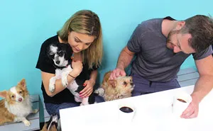 First Dog Cafe In U.S. Lets You Adopt A Dog While Enjoying Your Coffee