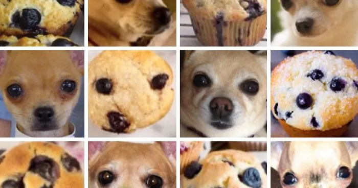 Puppies Or Food? 12 Pics That Will Make You Question Reality