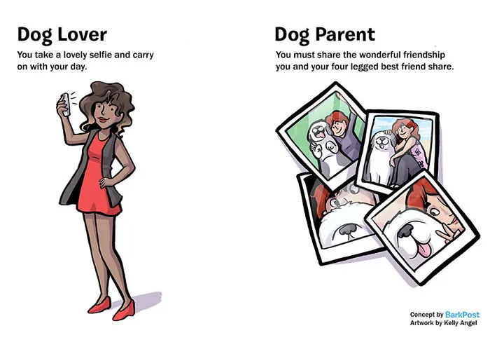 7 Differences Between Dog Lovers And Dog Parents