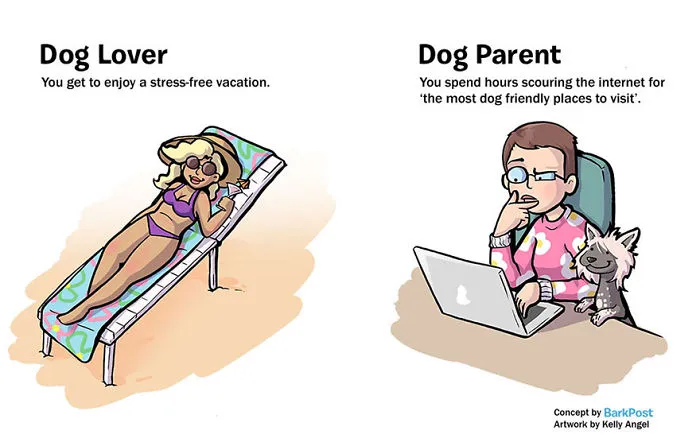 7 Differences Between Dog Lovers And Dog Parents