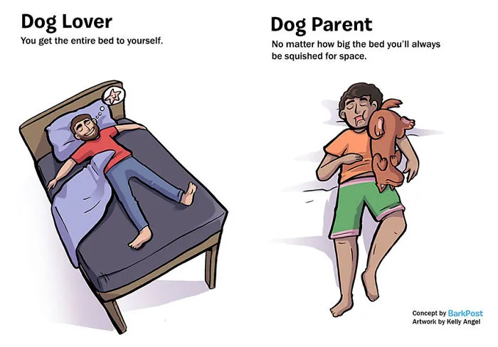 7 Differences Between Dog Lovers And Dog Parents
