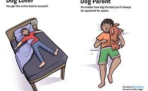 7 Differences Between Dog Lovers And Dog Parents