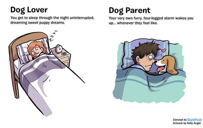 7 Differences Between Dog Lovers And Dog Parents