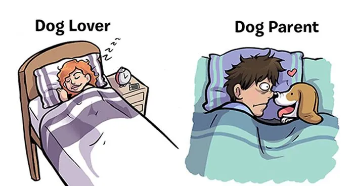 7 Differences Between Dog Lovers And Dog Parents