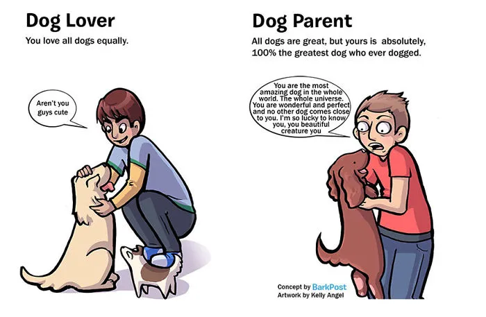 7 Differences Between Dog Lovers And Dog Parents