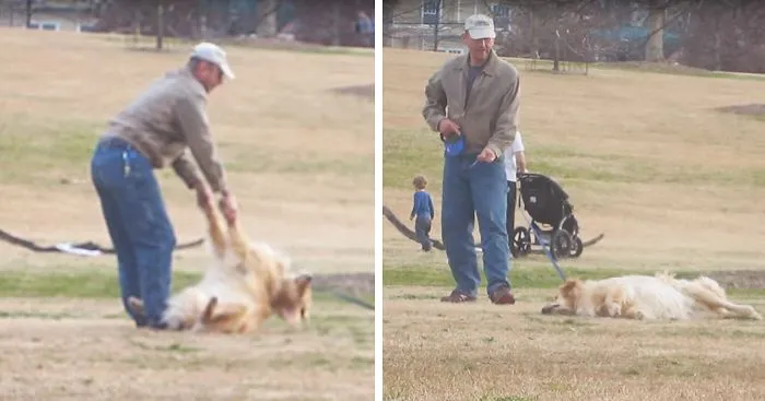 Clever Dog Plays Dead To Stay At The Park Longer