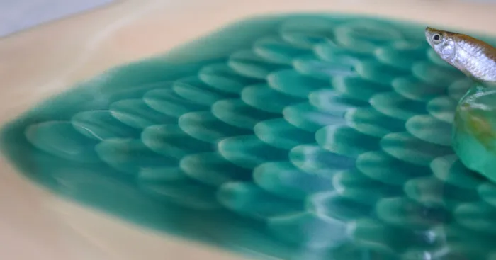 I Paint Plates To Look Like Pools Of Water