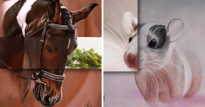 I Draw Hyperrealistic Animal Portraits Based On Photos