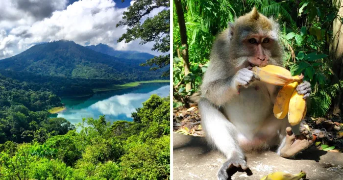 My Amazing Trip To Bali
