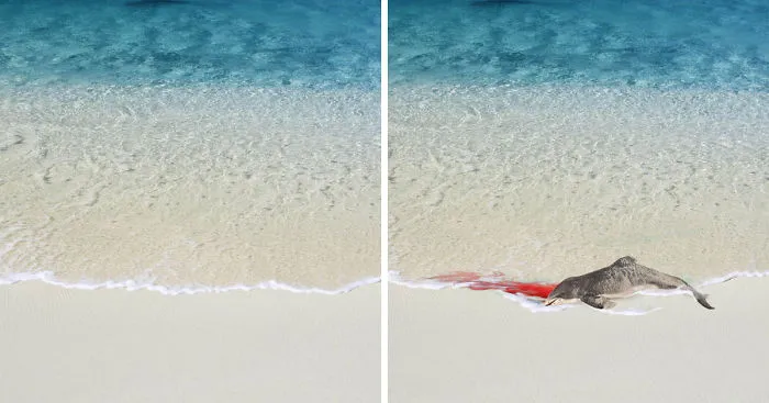 Artist Modified Wallpapers To Bring Them Closer To Reality