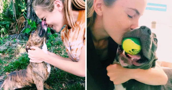 Pitbulls At Animal Shelter Helped Me To Fight My Depression