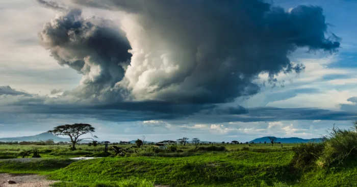 I Stayed In Tanzania For A Month And I'm Convinced That I Found Heaven On Earth