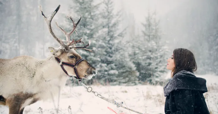 My Photos Reflect On The Bond Between People And Animals