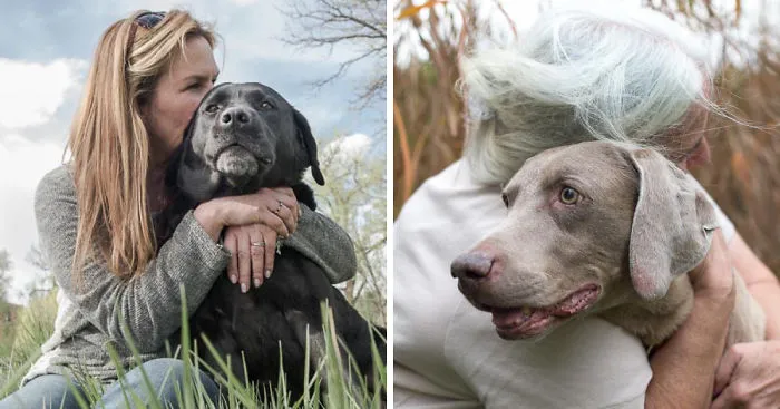 I Photograph The Special Bond Between Old Dogs And The People Who Love Them