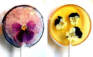 Edible Flower Petals Preserved Inside Lollipops