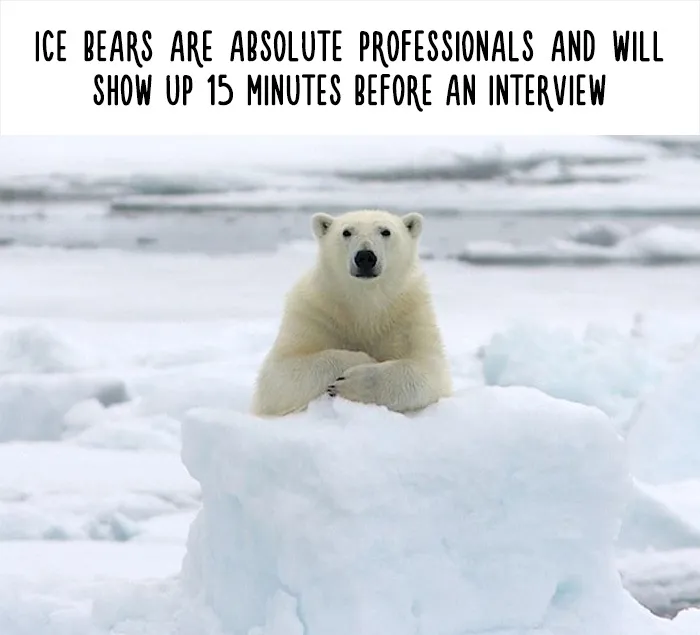 54 Amazing Animal Facts You Didn't Know