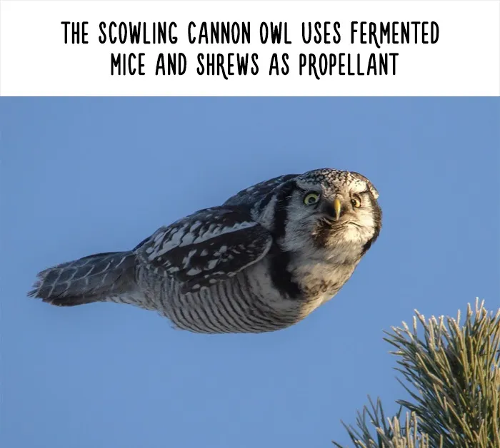 54 Amazing Animal Facts You Didn't Know