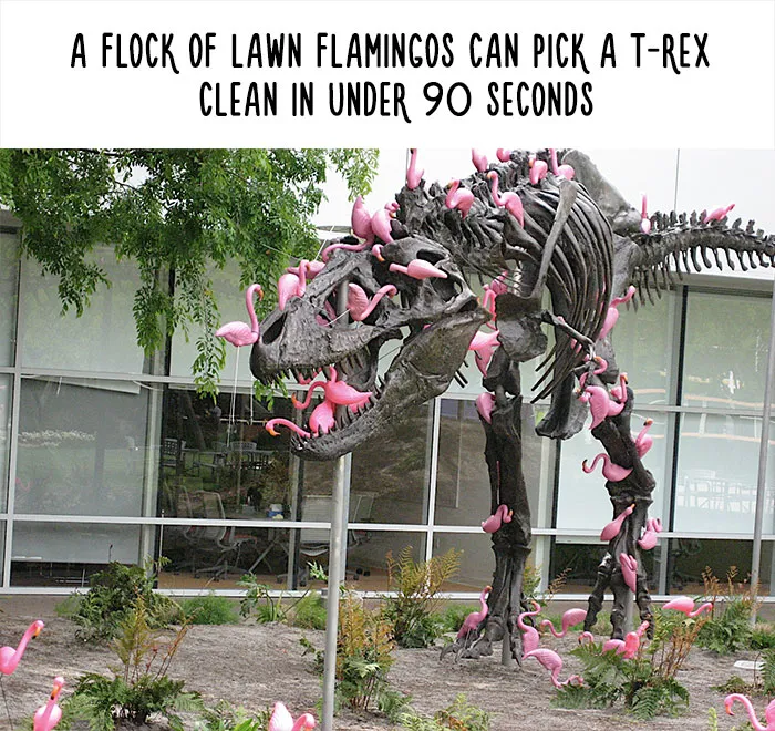54 Amazing Animal Facts You Didn't Know