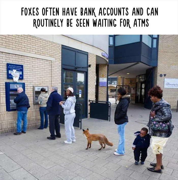 54 Amazing Animal Facts You Didn't Know