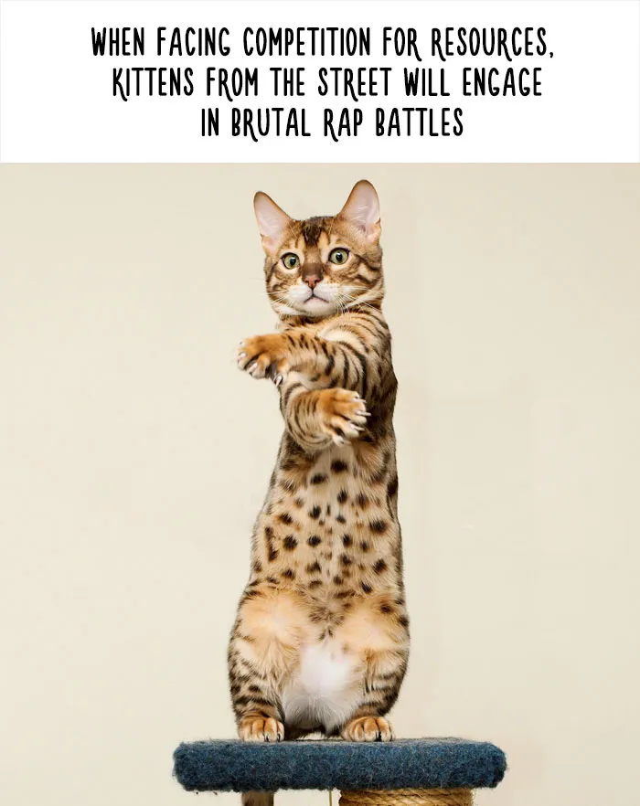 54 Amazing Animal Facts You Didn't Know