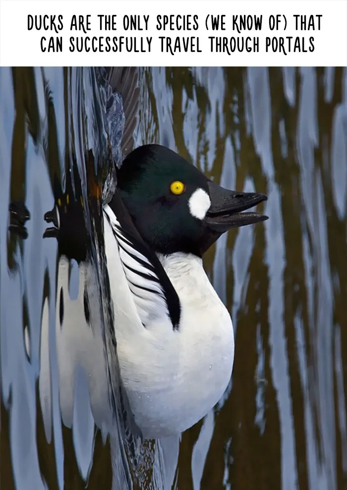 54 Amazing Animal Facts You Didn't Know