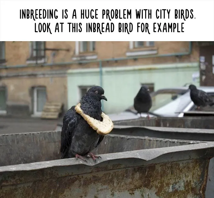 54 Amazing Animal Facts You Didn't Know