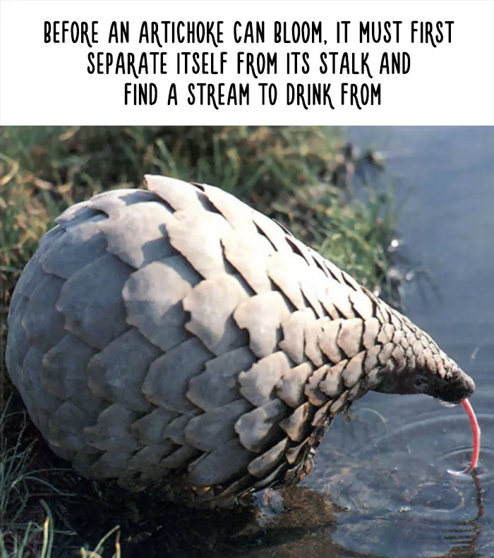 54 Amazing Animal Facts You Didn't Know