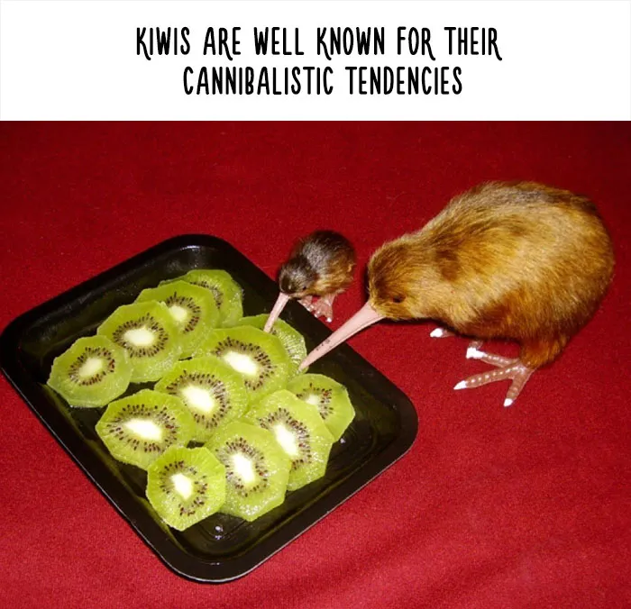 54 Amazing Animal Facts You Didn't Know
