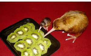 54 Amazing Animal Facts You Didn't Know