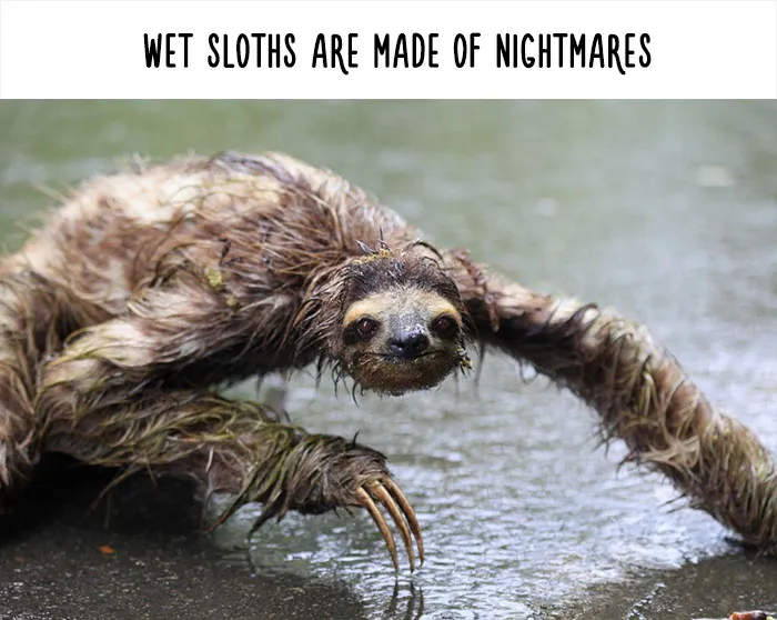 54 Amazing Animal Facts You Didn't Know